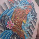 Orange Koi Fish