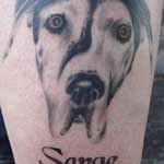 Sarge