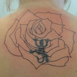 Lizard Cover Up Before