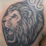 lion