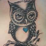 owl